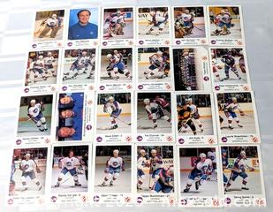 MaxSold Auction: VINTAGE WINNIPEG JETS HOCKEY CARD LOT - Kingston (Ontario, Canada) SELLER MANAGED Downsizing Online Auction - Rosemund Crescent