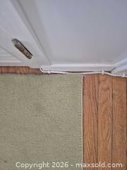 MaxSold Auction: Large Green Area Rug 9' x 11' - Toronto (Ontario, Canada) PARTNER MANAGED Downsizing Online Auction - Dawlish Avenue