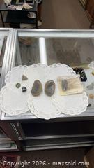 MaxSold Auction: Fossil & Mineral Collection  - Dundee Township (Illinois, USA) PARTNER MANAGED Reseller Online Auction - Airport Road