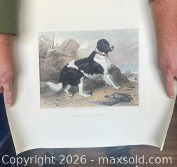 MaxSold Auction: Off to the Rescue — Color Lithograph, 1872 Dog Seascape Printed Art Work - Kingston (Ontario, Canada) PARTNER MANAGED Downsizing Online Auction - Burbrook Road