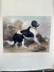 MaxSold Auction: Off to the Rescue — Color Lithograph, 1872 Dog Seascape Printed Art Work - Kingston (Ontario, Canada) PARTNER MANAGED Downsizing Online Auction - Burbrook Road