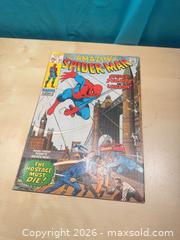MaxSold Auction: The amazing Spider-Man 95 - Stan Lee, spiderman in London  - Elgin (Ontario, Canada) SELLER MANAGED Downsizing Online Auction - Main Street