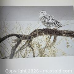 MaxSold Auction: 2 Large Coffee Table Books Wildlife Art Glen Loates Robert Bateman - Toronto (Ontario, Canada) SELLER MANAGED Downsizing Online Auction - Greenland Road