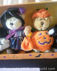MaxSold Auction: Set of 5 Halloween Plush Teddy Bears in Original Box - San Jose (California, USA) PARTNER MANAGED Estate Sale Online Auction - Dunn Ave