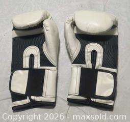 MaxSold Auction: Everlast Boxing Gloves  - Gloucester (Massachusetts, USA) SELLER MANAGED Downsizing Online Auction -  Fremont Street