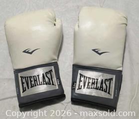 MaxSold Auction: Everlast Boxing Gloves  - Gloucester (Massachusetts, USA) SELLER MANAGED Downsizing Online Auction -  Fremont Street