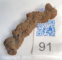 MaxSold Auction: FOSSIL TURTLE DUNG: COPROLITE 55 - 72 Million years - Shelburne (Ontario, Canada) SELLER MANAGED Downsizing Online Auction - Main Street East