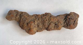 MaxSold Auction: FOSSIL TURTLE DUNG: COPROLITE 55 - 72 Million years - Shelburne (Ontario, Canada) SELLER MANAGED Downsizing Online Auction - Main Street East