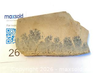 MaxSold Auction: FOSSILIZED FERN: 360 million years ago - Shelburne (Ontario, Canada) SELLER MANAGED Downsizing Online Auction - Main Street East