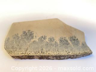 MaxSold Auction: FOSSILIZED FERN: 360 million years ago - Shelburne (Ontario, Canada) SELLER MANAGED Downsizing Online Auction - Main Street East