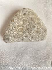 MaxSold Auction: Michigan PETOSKEY STONE FOSSIL Unique to the Great Lakes - Shelburne (Ontario, Canada) SELLER MANAGED Downsizing Online Auction - Main Street East