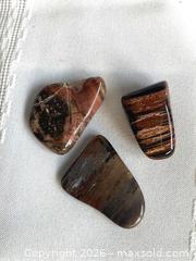 MaxSold Auction: PETRIFIED WOOD: Triassic Age - 225 Million Years Old - Shelburne (Ontario, Canada) SELLER MANAGED Downsizing Online Auction - Main Street East