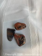 MaxSold Auction: PETRIFIED WOOD: Triassic Age - 225 Million Years Old - Shelburne (Ontario, Canada) SELLER MANAGED Downsizing Online Auction - Main Street East