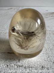 MaxSold Auction: Vintage Lucite Acrylic Paperweight Decor with White Strawflower - Kingston (Ontario, Canada) SELLER MANAGED Downsizing Online Auction - Bishop Street