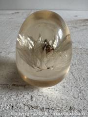MaxSold Auction: Vintage Lucite Acrylic Paperweight Decor with White Strawflower - Kingston (Ontario, Canada) SELLER MANAGED Downsizing Online Auction - Bishop Street