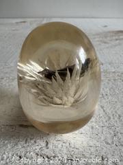 MaxSold Auction: Vintage Lucite Acrylic Paperweight Decor with White Strawflower - Kingston (Ontario, Canada) SELLER MANAGED Downsizing Online Auction - Bishop Street