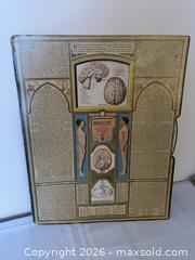 MaxSold Auction: Rare Vintage Male Anatomical Chart Bodyscope, First Edition — Ralph H. Segal Educational Wall Chart - Kingston (Ontario, Canada) SELLER MANAGED Estate Sale Online Auction - Tamarac Street