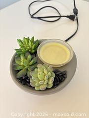 MaxSold Auction: Scentsy Wax Warmer with Faux Succulent Arrangement - Ottawa (Ontario, Canada) SELLER MANAGED Moving Online Auction -  Demeter Street