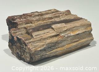 MaxSold Auction: Petrified Wood Specimen  - Burlington (Ontario, Canada) SELLER MANAGED Estate Sale Online Auction - Fairview Street (STORAGE)