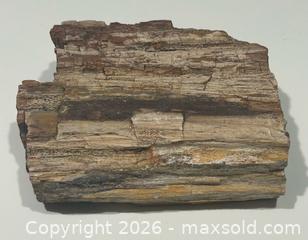 MaxSold Auction: Petrified Wood Specimen  - Burlington (Ontario, Canada) SELLER MANAGED Estate Sale Online Auction - Fairview Street (STORAGE)