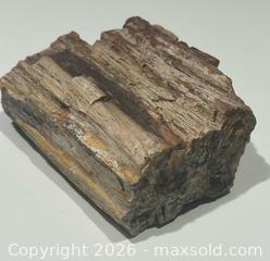 MaxSold Auction: Petrified Wood Specimen  - Burlington (Ontario, Canada) SELLER MANAGED Estate Sale Online Auction - Fairview Street (STORAGE)