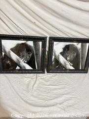 MaxSold Auction: Pair of Framed Black & White Monkey Photographs, Wood Frames - Toronto (Ontario, Canada) SELLER MANAGED Downsizing Online Auction - Rutherford Avenue