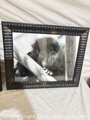 MaxSold Auction: Pair of Framed Black & White Monkey Photographs, Wood Frames - Toronto (Ontario, Canada) SELLER MANAGED Downsizing Online Auction - Rutherford Avenue