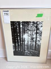 MaxSold Auction: Framed Black & White Photo — Forest Sunlight, Silver Aluminum Frame A - Ottawa (Ontario, Canada) PARTNER MANAGED Downsizing Online Auction - Carling Avenue (CONDO)