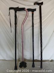 MaxSold Auction: Canes – 4 - Sun City (Arizona, USA) SELLER MANAGED Reseller Online Auction - West Forrester Drive