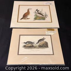 MaxSold Auction: Audubon and DeKay/Hill Hand-colored Bird Lithographs - Douglas (Massachusetts, USA) PARTNER MANAGED Estate Sale Online Auction - South West Main Street
