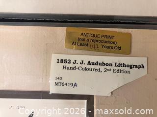 MaxSold Auction: Audubon and DeKay/Hill Hand-colored Bird Lithographs - Douglas (Massachusetts, USA) PARTNER MANAGED Estate Sale Online Auction - South West Main Street