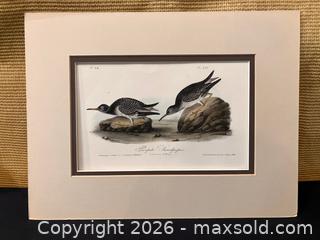 MaxSold Auction: Audubon and DeKay/Hill Hand-colored Bird Lithographs - Douglas (Massachusetts, USA) PARTNER MANAGED Estate Sale Online Auction - South West Main Street