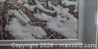 MaxSold Auction: Wolf picture - Tay (Ontario, Canada) SELLER MANAGED Downsizing Online Auction - Reeves Road