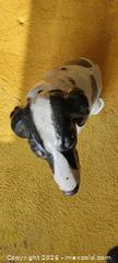 MaxSold Auction: Striking Black and White Spaniel/Pointer  Floor Statue - Toronto (Ontario, Canada) SELLER MANAGED Estate Sale Online Auction - Bridgeland Avenue (STORAGE)