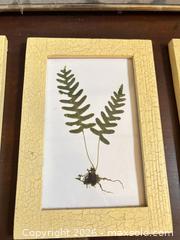 MaxSold Auction: Framed Wall Art B - Toronto (Ontario, Canada) Downsizing Online Auction - Cross Street