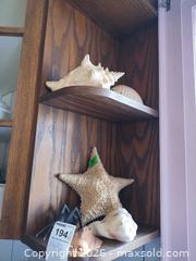 MaxSold Auction:  Sea Shells, Dried Starfish & Small Decorative Figurines B - Toronto (Ontario, Canada) Downsizing Online Auction - Cross Street