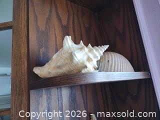MaxSold Auction:  Sea Shells, Dried Starfish & Small Decorative Figurines B - Toronto (Ontario, Canada) Downsizing Online Auction - Cross Street