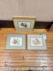 MaxSold Auction: Set of 3 Signed M. G. Loates Framed Wildlife Prints B - Toronto (Ontario, Canada) Downsizing Online Auction - Cross Street