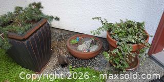 MaxSold Auction:  Ceramic Garden Planters with Live Plants & Metal Bird - Victoria (British Columbia, Canada) PARTNER MANAGED Moving Online Auction - Slater Street (CONDO)
