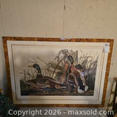 MaxSold Auction: J. J. Audubon Ariel Press Framed Duck Print, 46.5 x 34 in - Wellesley (Massachusetts, USA) PARTNER MANAGED Downsizing Online Auction - Mayo Road