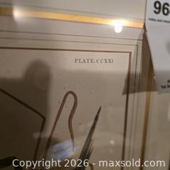 MaxSold Auction: J. J. Audubon Ariel Press Framed Duck Print, 46.5 x 34 in - Wellesley (Massachusetts, USA) PARTNER MANAGED Downsizing Online Auction - Mayo Road