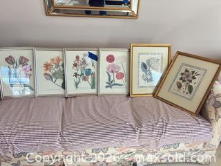MaxSold Auction: Set of 6 Framed Botanical Flower Prints by Chirat - Wellesley (Massachusetts, USA) PARTNER MANAGED Downsizing Online Auction - Mayo Road