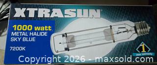 MaxSold Auction: Growing Bulbs- 2 boxes of 12.  New. - Burnaby (British Columbia, Canada) SELLER MANAGED Downsizing Online Auction - Claude Avenue