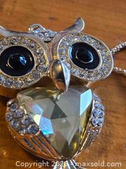 MaxSold Auction: Jewelry. Betsey Johnson -  Owl Necklace - Burnaby (British Columbia, Canada) SELLER MANAGED Downsizing Online Auction - Claude Avenue