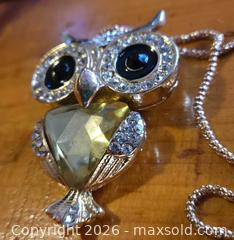 MaxSold Auction: Jewelry. Betsey Johnson -  Owl Necklace - Burnaby (British Columbia, Canada) SELLER MANAGED Downsizing Online Auction - Claude Avenue
