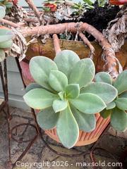 MaxSold Auction: 2 Planters and Stands - Oxnard (California, USA) PARTNER MANAGED Estate Sale Online Auction - West Fifth Street