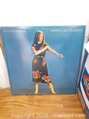 MaxSold Auction: 30 Vintage 12” Vinyl Records Rock n Roll and More - Oxnard (California, USA) PARTNER MANAGED Estate Sale Online Auction - West Fifth Street