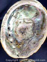 MaxSold Auction: Abalone Shells and Geode - Oxnard (California, USA) PARTNER MANAGED Estate Sale Online Auction - West Fifth Street
