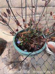 MaxSold Auction: Super Large Glazed Planter - Oxnard (California, USA) PARTNER MANAGED Estate Sale Online Auction - West Fifth Street