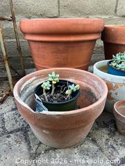 MaxSold Auction: Terracotta Pots - Oxnard (California, USA) PARTNER MANAGED Estate Sale Online Auction - West Fifth Street